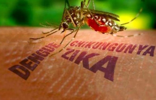 Hà Nội chủ động phòng dịch Zika Lãnh đạo Sở Y tế Hà Nội kiểm tra thực tế công tác phòng, chống dịch bệnh.