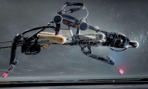 Robot chạy nhanh hơn cả nhà vô địch Olympic Các nhà khoa học Mỹ có thể cho ra đời robot chạnh nhanh hơn Usain Bolt.