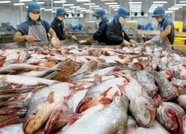 Cục Xuất nhập khẩu: Cảnh báo lừa đảo trong giao dịch thương mại quốc tế Nhiều doanh nghiệp xuất khẩu đã không thể nhận diện được các yếu tố rủi ro, dẫn đến thiệt hại nặng nề về kinh tế, thậm chí phải đối mặt với nguy cơ phá sản