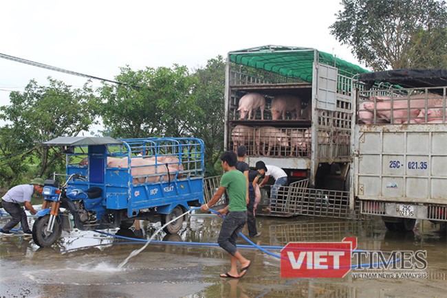 Giá thịt lợn giảm tác động mạnh đến CPI tháng 5/2017 Nhóm thực phẩm có CPI tháng 5/2017 giảm 2,27%, tác động làm CPI giảm 0,51% so với tháng trước.