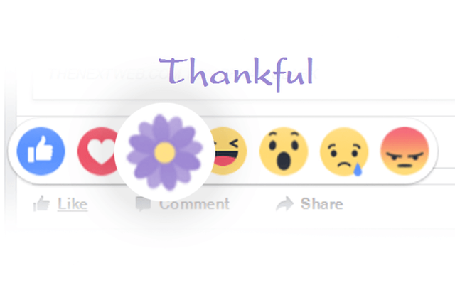 Ý nghĩa biểu tượng “hoa tím” tràn ngập trên mạng xã hội Facebook Ảnh minh họa