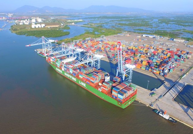 Cảng Cái Mép - Thị Vải “khát” phần mềm ứng dụng để trở thành Hệ sinh thái logistic Cảng Cái Mép - Thị Vải