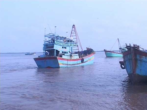 Xử lý nghiêm đối tượng trục lợi từ chính sách hỗ trợ khai thác thủy sản Ảnh minh họa