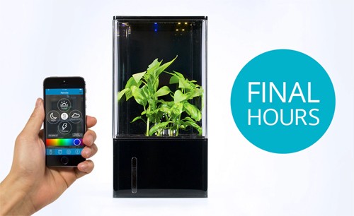 Video: Hộp trồng cây tự động, theo dõi qua smartphone Hộp trồng cây tự động, theo dõi qua smartphone.