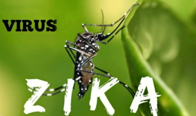 Bình Dương tăng cường phòng, chống dịch do virus Zika đến tận xã, phường Bình Dương tăng cường quản lý, giám sát và theo dõi chặt chẽ tình hình diễn biến dịch bệnh do virus Zika trên địa bàn tỉnh.