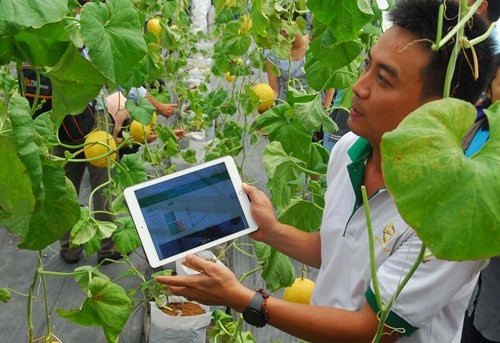 Đà Nẵng quy hoạch 7 vùng nông nghiệp công nghệ cao Ảnh minh hoạ: Internet