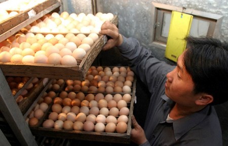Chủ tịch Quốc hội yêu cầu “dẹp” ngay việc “đếm trứng thu phí” Chủ tịch Quốc hội yêu cầu “dẹp” ngay việc “đếm trứng thu phí”