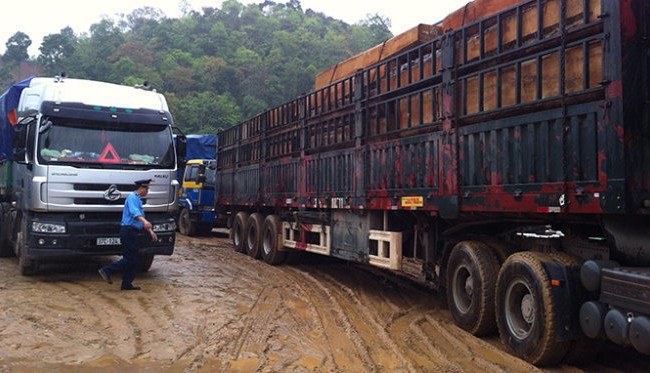 Ổ ạt mua xe đầu kéo để không chở quá tải Xe chở gỗ quá tải bị chặn bắt ở Nghệ An