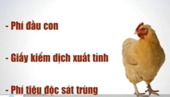 "Ma trận" phí bủa vây doanh nghiệp