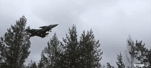 Việt Nam có thể mua 12 tiêm kích Gripen của Thụy Điển Việt Nam có thể mua 12 tiêm kích Gripen của Thụy Điển