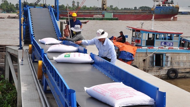 Bãi bỏ quy định khống chế số đầu mối xuất khẩu gạo Ảnh minh họa. Nguồn: Internert