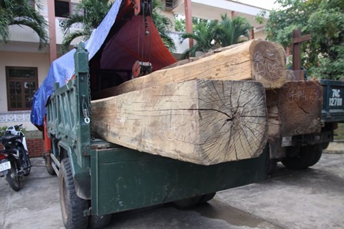 Phát hiện hạt trưởng kiểm lâm là chủ... gỗ lậu Chiếc xe và số gỗ tang vật vụ việc tại trụ sở Công an tỉnh Quảng Trị - Ảnh: Nguyễn Phúc