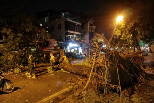 Một người chết, 3 bị thương vì dông lớn tại Hà Nội Một người chết, 3 bị thương vì dông lớn tại Hà Nội