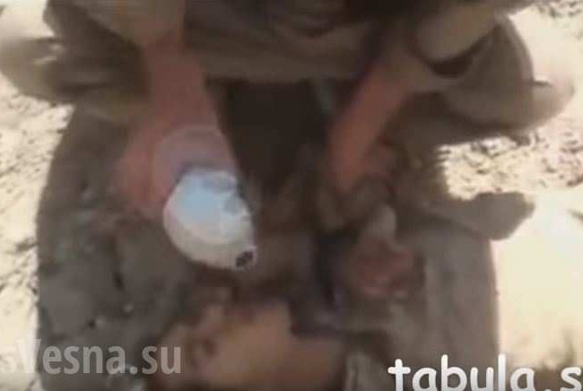 Những clip đáng xem trong ngày về chiến sự Syria Những clip đáng xem trong ngày về chiến sự Syria