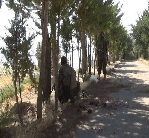 Quân đội Syria đánh chiếm cao điểm ở dãy núi Qalamoun Quân đội Syria đánh chiếm cao điểm ở dãy núi Qalamoun