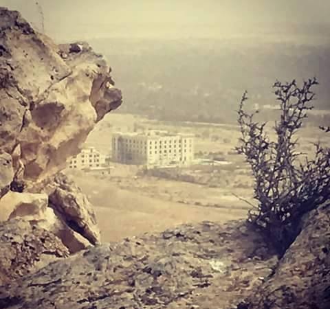Lực lượng Tigers và đồng minh tấn công Khu vườn Palmyra Lực lượng Tigers và đồng minh tấn công Khu vườn Palmyra