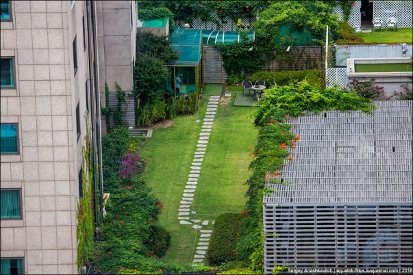 Thành phố Seoul Hàn Quốc đã trở thành thành phố xanh thế nào? Vườn nhiệt đới trên mái nhà ở Seul