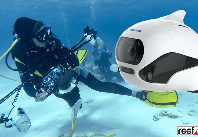 Robot điều khiển từ xa bơi lội như cá thật (video) Biki robot Trung Quốc