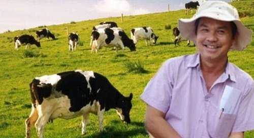 Hà Tĩnh: 3 sở, 6 huyện khảo sát tìm đất cho bầu Đức nuôi bò Ảnh minh họa