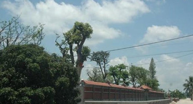 Điều tra về “dinh thự” của con trai Bí thư tỉnh ủy Hải Dương Bên ngoài của “dinh thự”