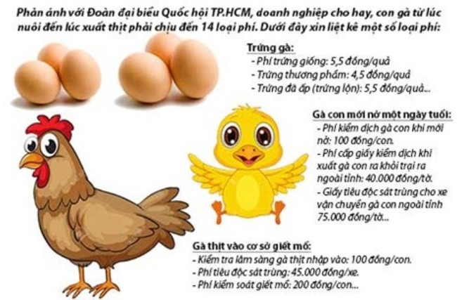 Gà oằn mình cõng phí và hàng nghìn tỷ đồng thất thu Hình minh họa