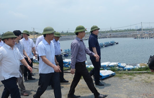 Cá biển chết hàng loạt: Xử lý nghiêm, không loại trừ bất kỳ trường hợp nào Phó thủ tướng Trịnh Đình Dũng thị sát tình hình cá biển chết tại Hà Tĩnh