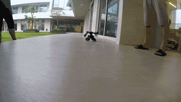 Robot chiến đấu thực tế bước vào đời sống (video) - ảnh 1