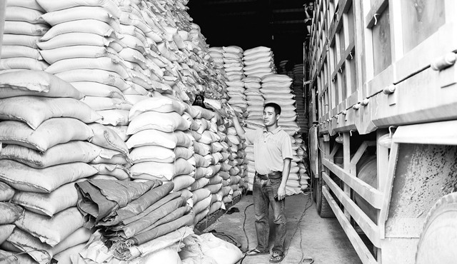 Dặm trường gian nan của hạt gạo - ảnh 1