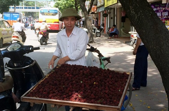 Hà Thành hớ nặng: Thanh mai TQ 8 ngàn bán 200 ngàn/kg - ảnh 3