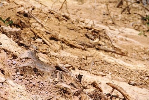 Hà Tĩnh: Thi công ẩu tại công trình hơn 30 tỷ - ảnh 1