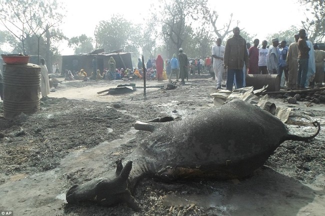 Video: Khủng khiếp tổ chức khủng bố Boko Haram thiêu sống cả trẻ em - ảnh 2