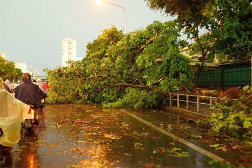 Một người chết, 3 bị thương vì dông lớn tại Hà Nội - ảnh 1