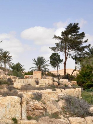 Cận cảnh thành phố Palmyra sau khi giải phóng (ảnh + video) - ảnh 20