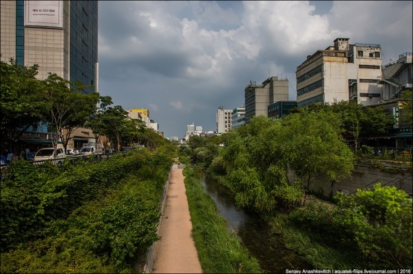Thành phố Seoul Hàn Quốc đã trở thành thành phố xanh thế nào? - ảnh 8