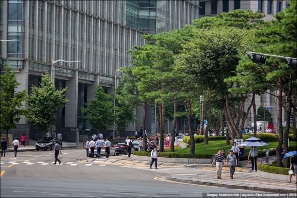 Thành phố Seoul Hàn Quốc đã trở thành thành phố xanh thế nào? - ảnh 14