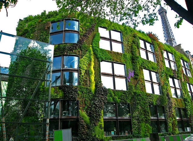 Paris tráng lệ sẽ còn xanh và đẹp hơn - ảnh 1