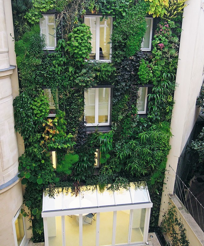 Paris tráng lệ sẽ còn xanh và đẹp hơn - ảnh 4