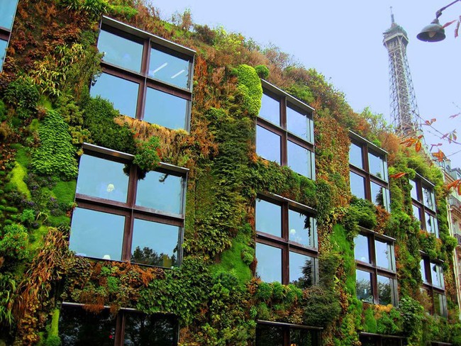Paris tráng lệ sẽ còn xanh và đẹp hơn - ảnh 5