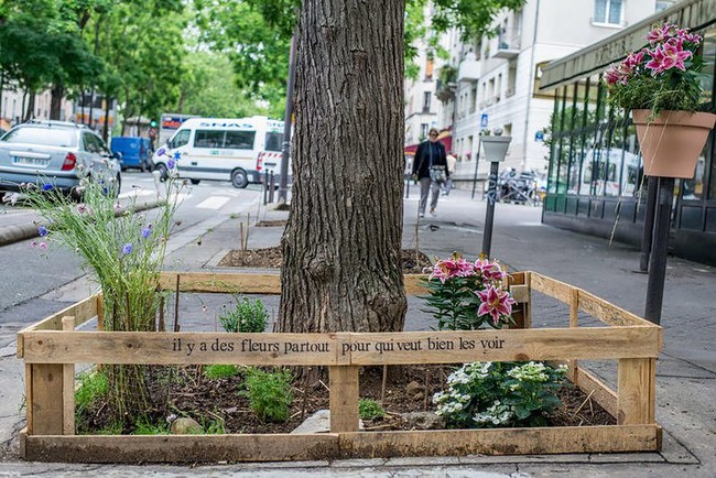 Paris tráng lệ sẽ còn xanh và đẹp hơn - ảnh 6