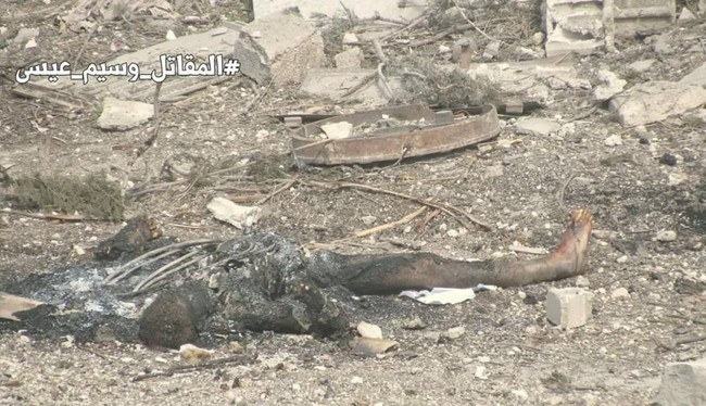 Quân đội Syria tấn công dữ dội, siết vòng vây thép phiến quân ngoại ô Damascus - ảnh 9