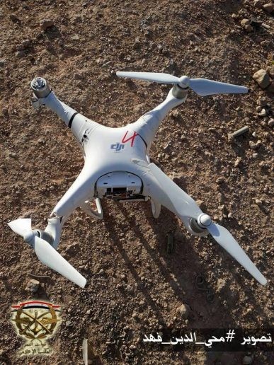 Quân đội Syria tung chiến dịch giải phóng sa mạc Homs - ảnh 2