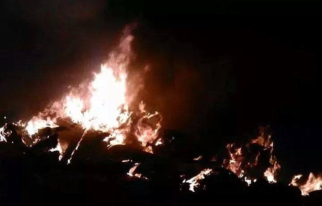 Quân đội Syria từng bắn hạ “Quái thú” Mỹ ở Latakia - ảnh 7