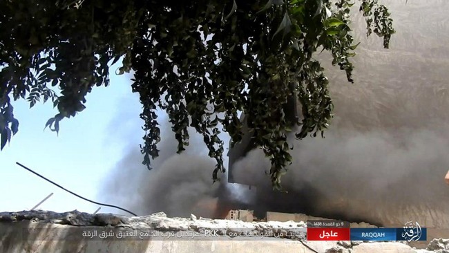 Phiến quân IS nộp mạng hàng loạt tại chảo lửa Raqqa - ảnh 8