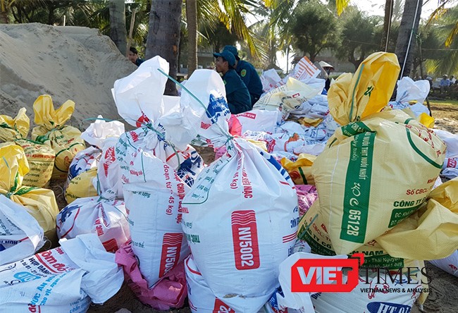 Hội An: Hàng trăm người nỗ lực “cứu” bờ biển Cửa Đại - ảnh 7