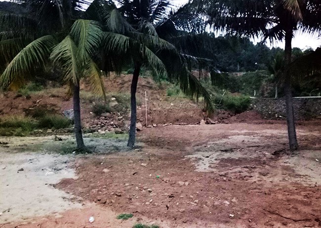 Đà Nẵng: Dự án du lịch ở Sơn Trà gây họa cho biển Tiên Sa - ảnh 2