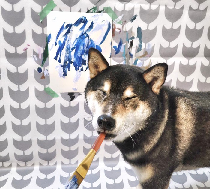 Chú chó có tài vẽ tranh được khắp thế giới đặt mua giúp chủ kiếm hơn 400  triệu