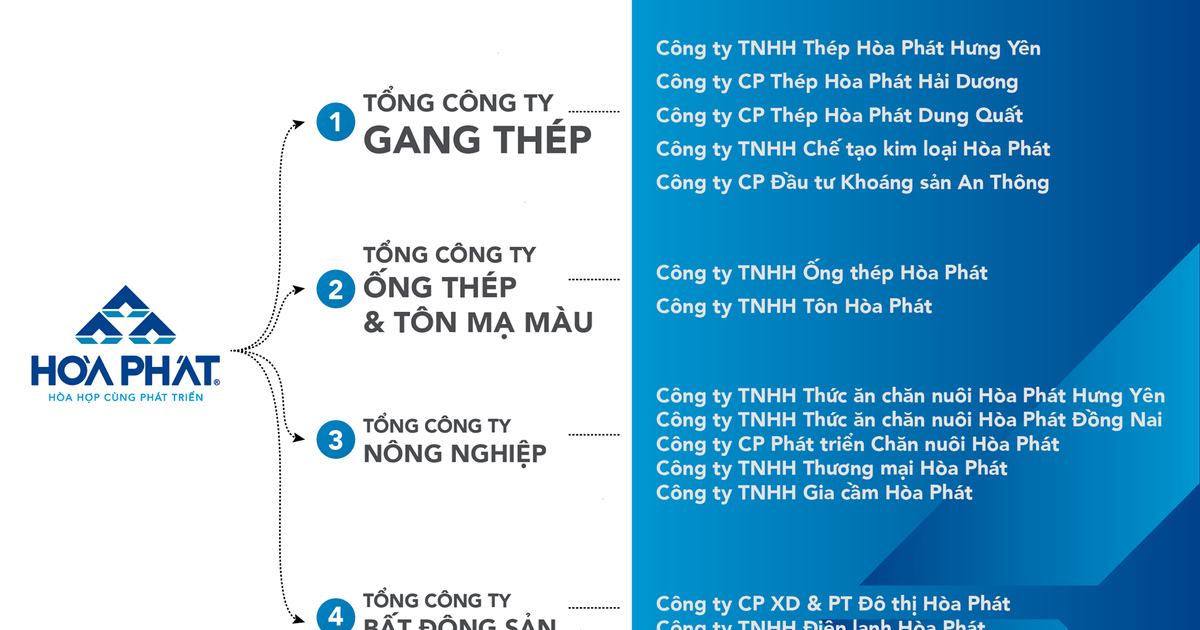 Mô hình tổ chức công ty TNHH 1 thành viên ntn