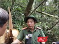 Đại tá Nguyễn Viết Lợi chỉ đạo trực tiếp điều tra vụ phá rừng pơ mu lớn nhất Quảng Nam từ trước đến nay