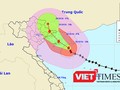 Hồi 19h ngày 18/10, bão số 7 đã đổ bộ vào đất liền đảo Hải Nam (Trung Quốc ) và sức gió giật giảm xuống còn cấp 14.