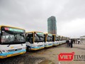 Sáng 10/12, Sở GTVT Đà Nẵng đã chính thức đưa 5 tuyến xe buýt trợ giá và miễn phí vào hoạt động phục vụ người dân.